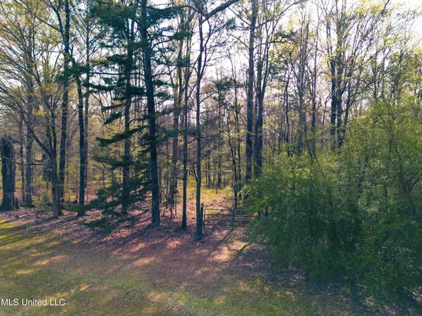 Gabe Holcomb Rd, Brandon, MS 39042