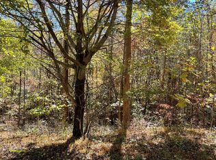 10 Meadow Loop Rd, Ellijay, GA 30536