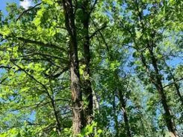 Xx Vink Rd, Sandstone, MN 55072