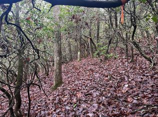 0 Krinklewood Dr, Franklin, NC 28734