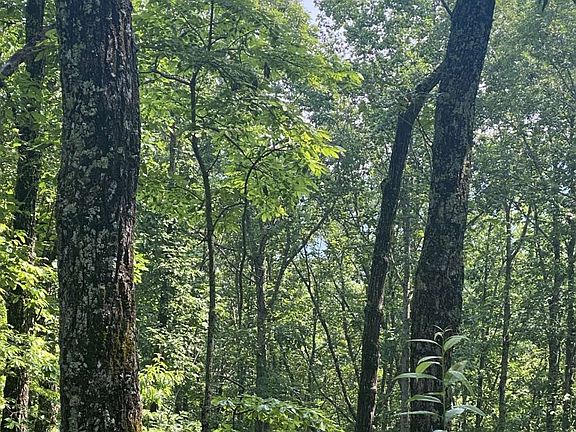 2nd image of 0 Cobb Mountain Cir