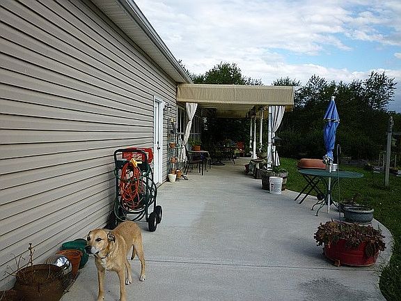 Patio, dog doesn't convey