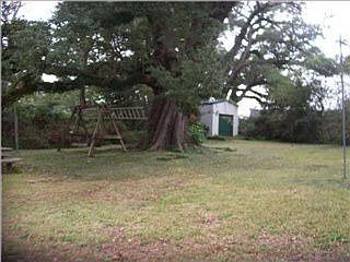 4th image of 704 Pinehill Dr