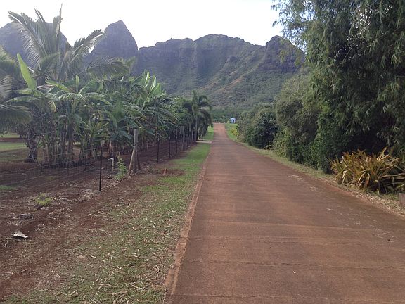 Road/Driveway to Entry