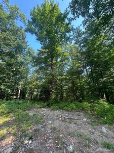 PARCEL 1B Bridgeview Dr, Negaunee, MI, 49866