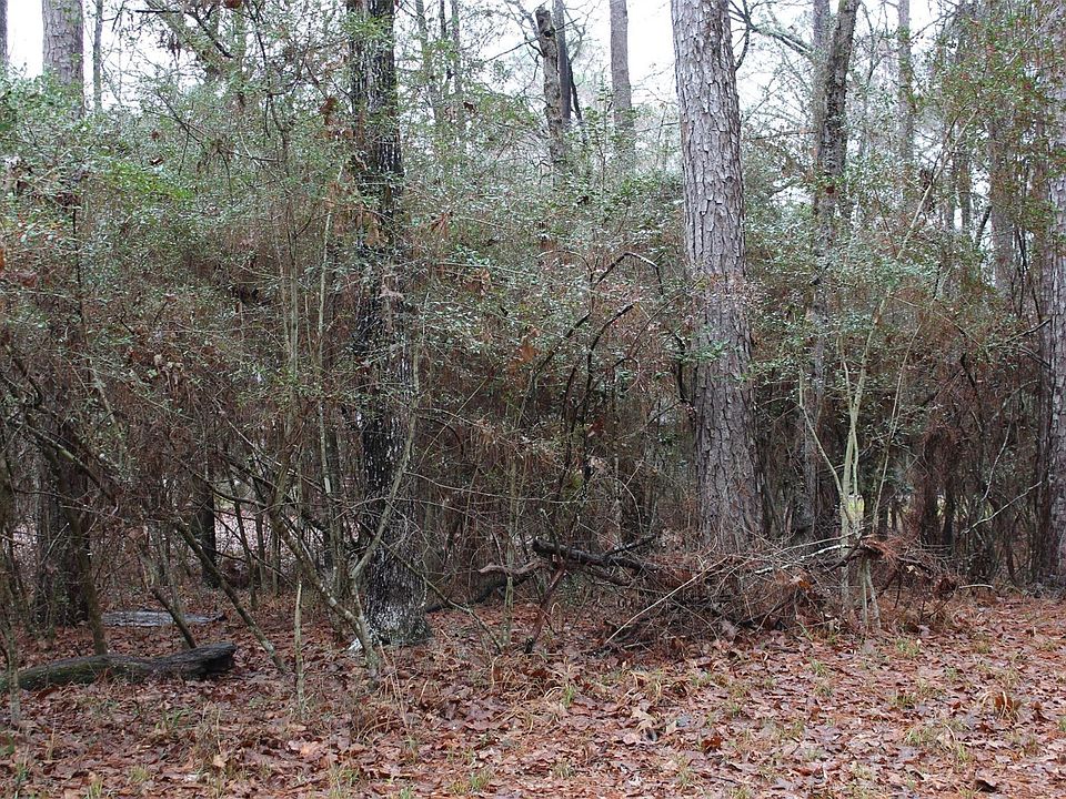 2nd image of LOT 6 Magnolia