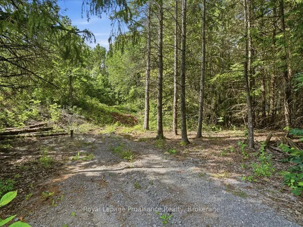 0 Otter Creek Rd, Tweed, ON K0K 3J0