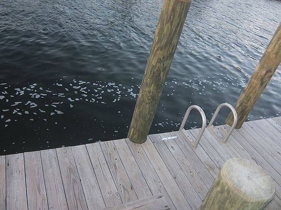 4th image of 144 Laguna Ln