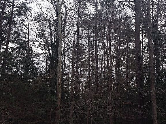 4th image of 302 Beechwood Dr