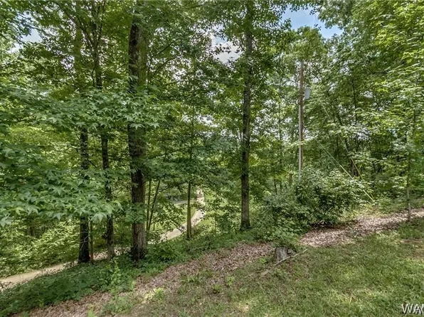 220 Short 24th Ave E, Tuscaloosa, AL 35404