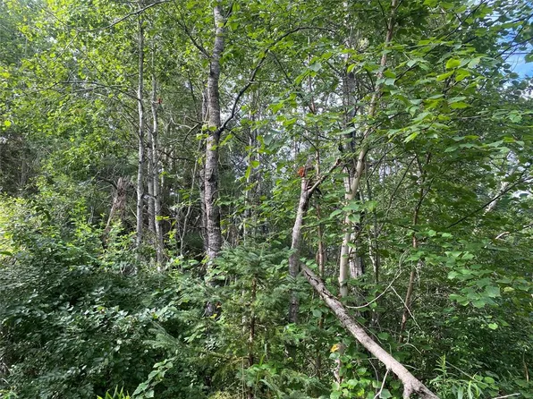 ON Delap Lane, Couderay, WI 54828