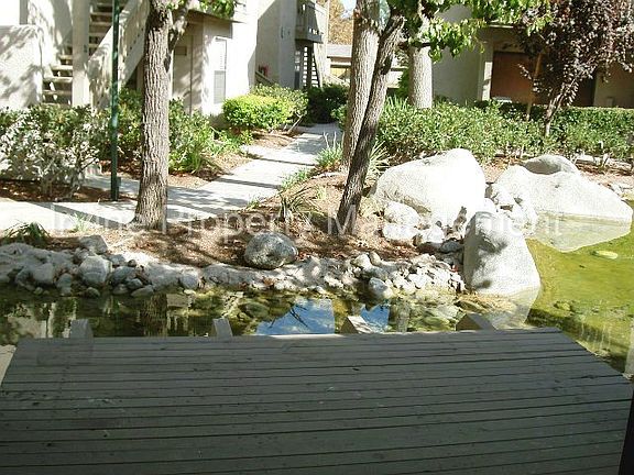 2nd image of 104 Orange Blossom #94