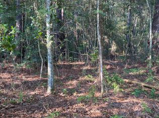 Virgil Lewis Rd E, Carriere, MS 39426