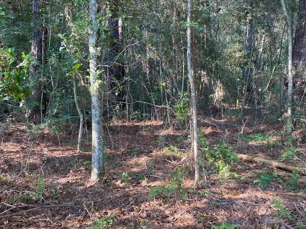 Virgil Lewis Rd E, Carriere, MS 39426