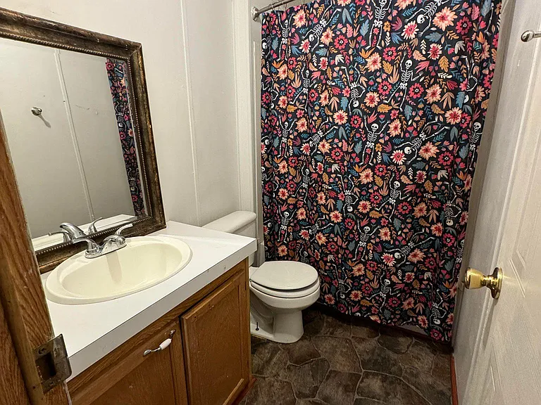 31315 Wide Oak Cir — Photo 12