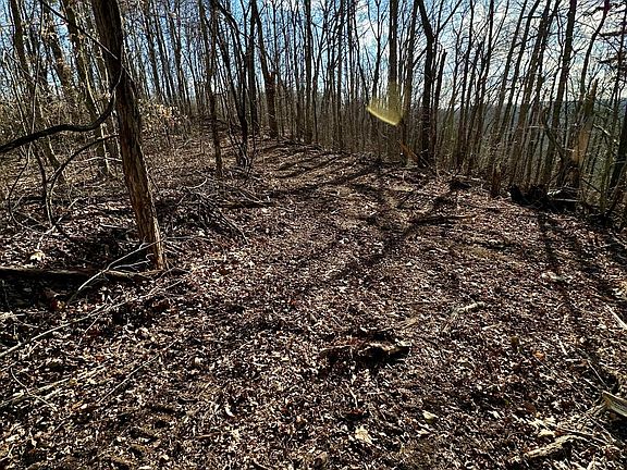 4th image of 6 Malone Ridge Rd #6