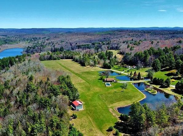 239 Mitchell Pond Road E, Cochecton, NY 12726