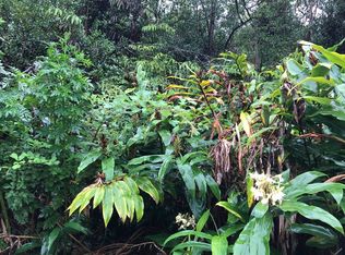 Heno St LOT 188, Volcano, HI 96785