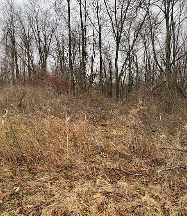 3rd image of 16170 Petro Dr