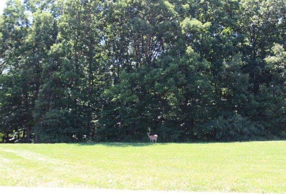 1st image of LOT 10 Reserves Ct