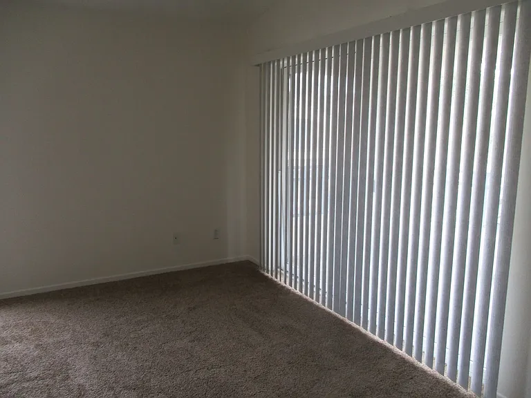 710 Caminito Valiente — Photo 10