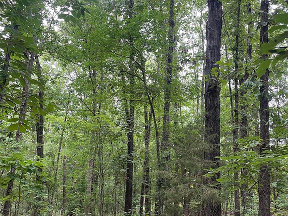 4th image of 2980 County Road 855