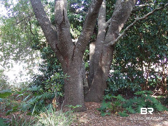 5th image of 34 Ancient Oaks Cir