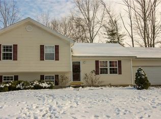 117 Elizabeth St, Lakewood, NY 14750