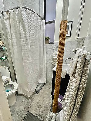 4th image of 433 E 80th St APT 3