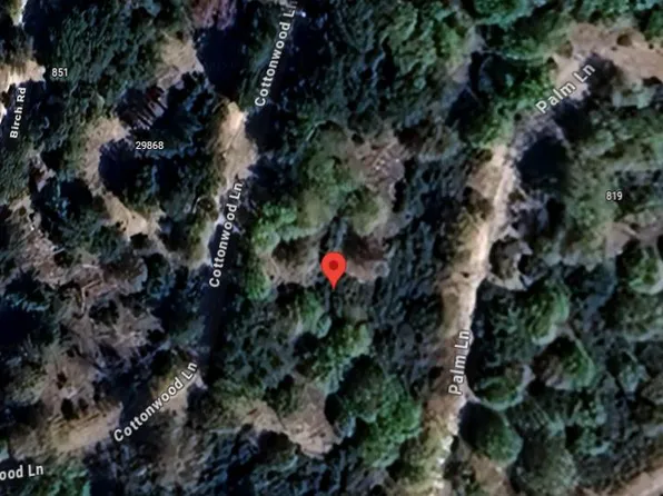 29865 Hickory Dr, Cedar Glen, CA 92321