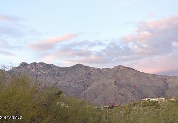 5th image of 5582 N Cimarron Vista Ct
