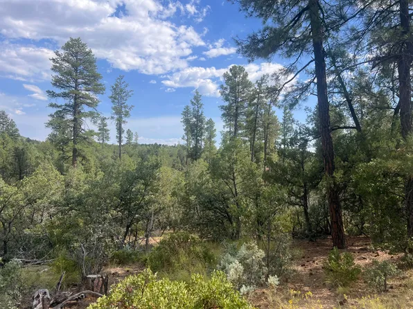 0 N Mistletoe Dr Lot Q, Pine, AZ 85544