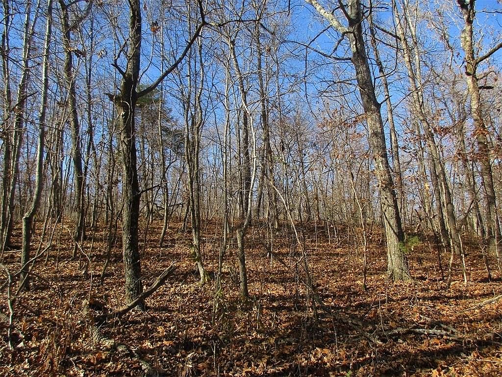 Madison, Witter, AR 72776 Zillow