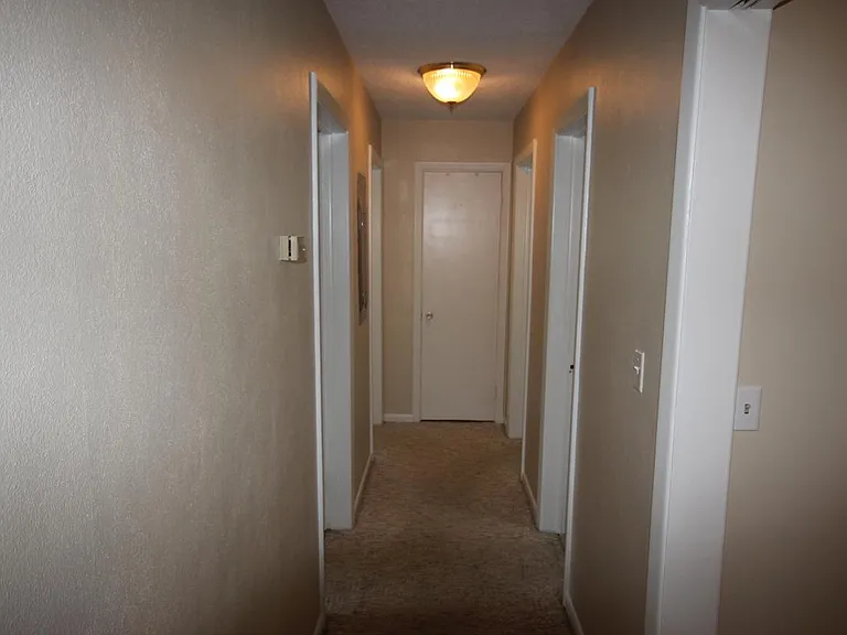 Hallway, this area has LVT tile now not carpet.
