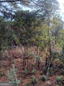 0 Parker Rd #R, Statesboro, GA, 30461
