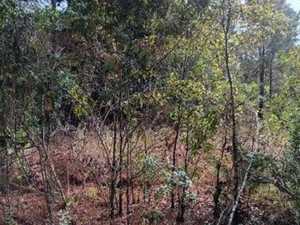 0 Parker Rd #R, Statesboro, GA 30461