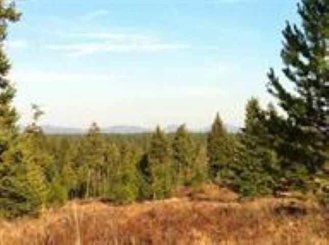 2nd image of LOT 37 N Park Ave