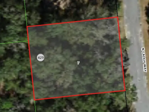 9020 N Caddy Way #7, Dunnellon, FL 34434