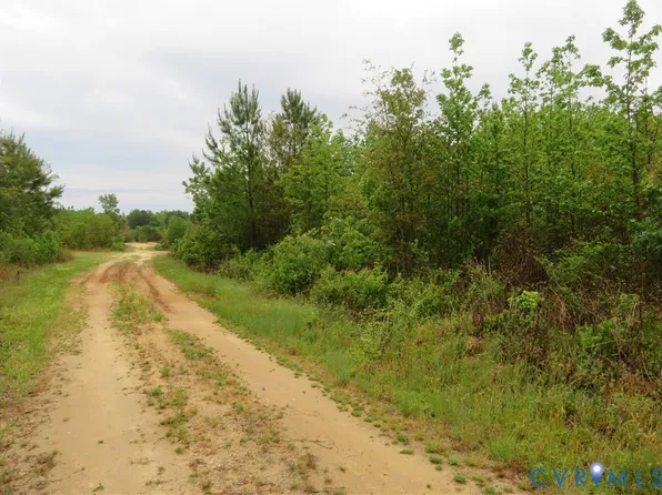 22505 Flatfoot Rd, Stony Creek, VA 23882