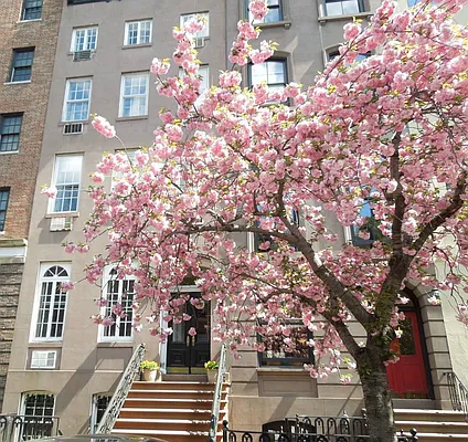 Rented by Town Residential | media 14