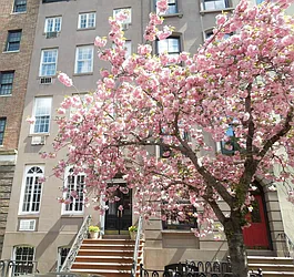 Rented by Town Residential