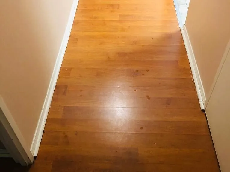 25 Trailwood Dr #1601 — Photo 26