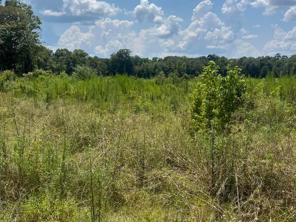 Jack Loftin Rd, Oak Vale, MS 39656