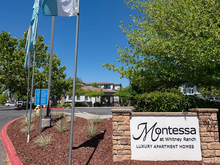 Montessa at Whitney Ranch — Photo 22