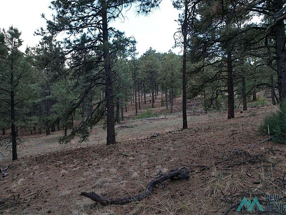 2nd image of A015 County Rd