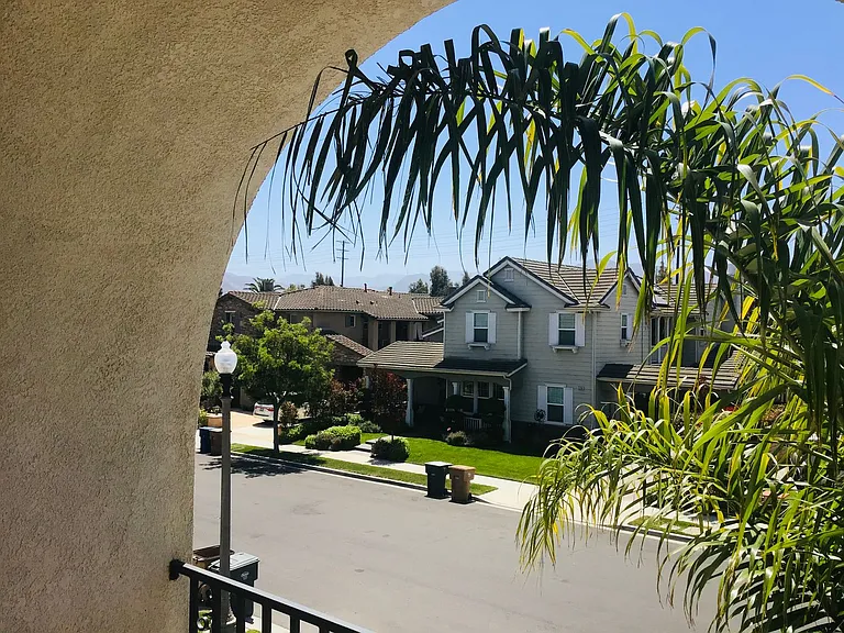 3273 Canopy Dr — Photo 16