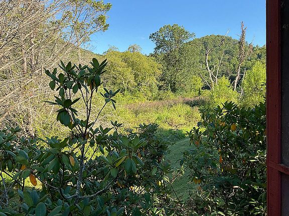 Beautiful meadow view 4