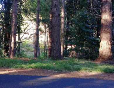 640 Spring Rd, Whitethorn, CA, 95589