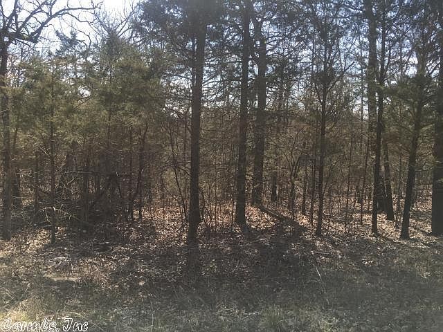 1st image of 919 Cedar Lake Dr