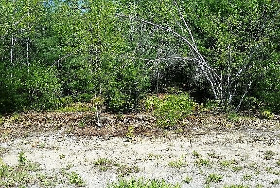 5th image of 0 Androscoggin Bluff Road
